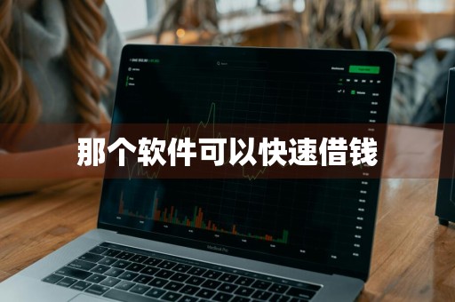 那个软件可以快速借钱