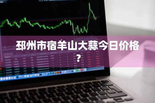 邳州市宿羊山大蒜今日价格？
