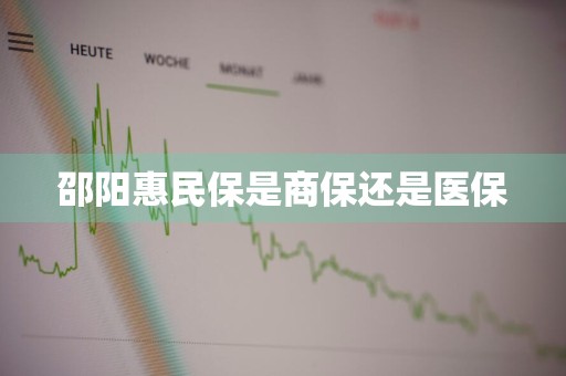 邵阳惠民保是商保还是医保