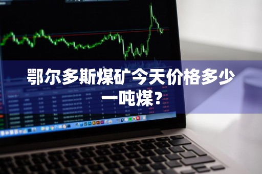 鄂尔多斯煤矿今天价格多少一吨煤？
