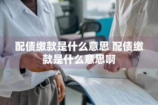 配债缴款是什么意思 配债缴款是什么意思啊