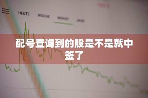配号查询到的股是不是就中签了