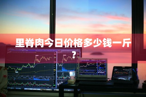 里脊肉今日价格多少钱一斤？