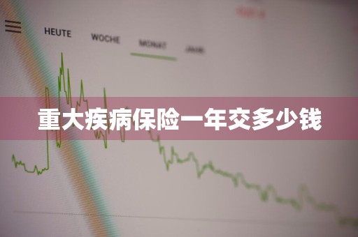 重大疾病保险一年交多少钱