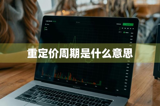 重定价周期是什么意思