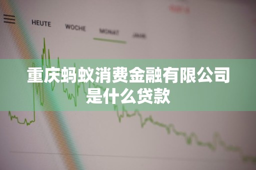 重庆蚂蚁消费金融有限公司是什么贷款