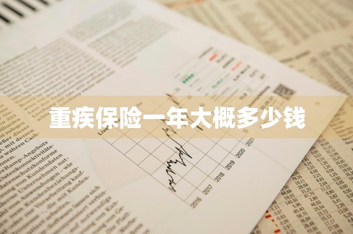 重疾保险一年大概多少钱
