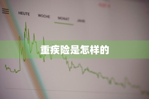 重疾险是怎样的
