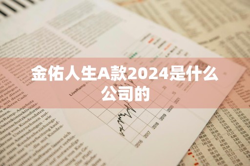 金佑人生A款2024是什么公司的
