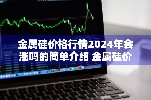 金属硅价格行情2024年会涨吗的简单介绍 金属硅价格行情2024年会涨吗的简单介绍一下