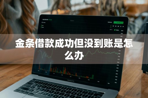 金条借款成功但没到账是怎么办