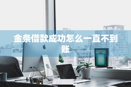 金条借款成功怎么一直不到账