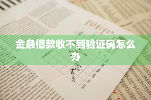 金条借款收不到验证码怎么办