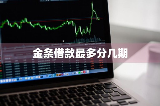 金条借款最多分几期