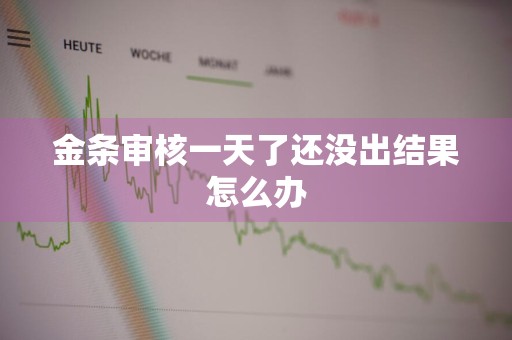 金条审核一天了还没出结果怎么办