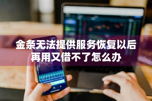 金条无法提供服务恢复以后再用又借不了怎么办