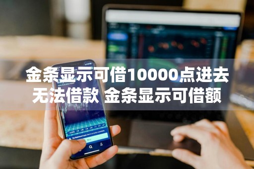 金条显示可借10000点进去无法借款 金条显示可借额度怎么用不了