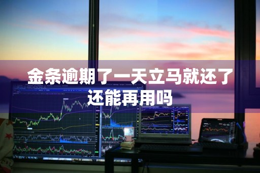 金条逾期了一天立马就还了还能再用吗