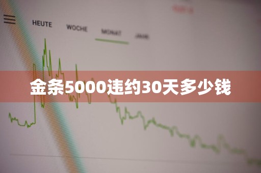 金条5000违约30天多少钱