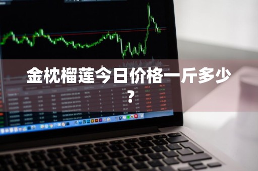 金枕榴莲今日价格一斤多少？