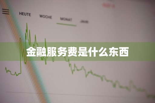 金融服务费是什么东西