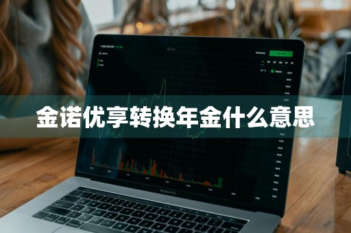 金诺优享转换年金什么意思