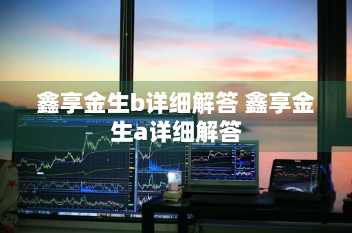 鑫享金生b详细解答 鑫享金生a详细解答