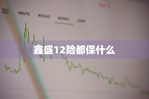 鑫盛12险都保什么