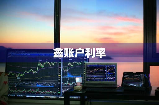 鑫账户利率