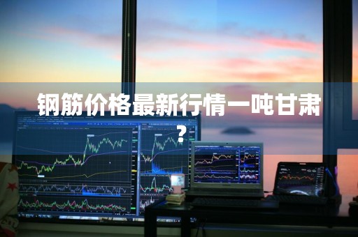 钢筋价格最新行情一吨甘肃？