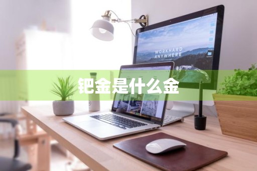 钯金是什么金