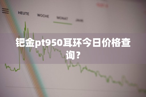 钯金pt950耳环今日价格查询？