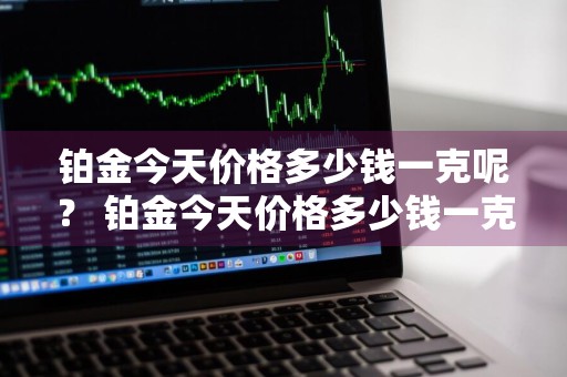 铂金今天价格多少钱一克呢？ 铂金今天价格多少钱一克呢图片
