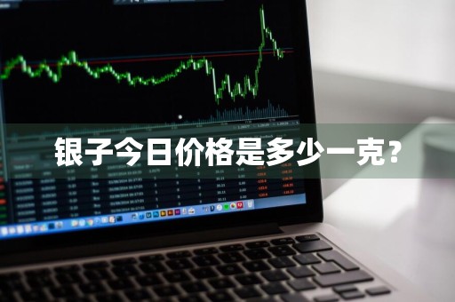 银子今日价格是多少一克？