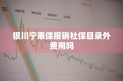 银川宁惠保报销社保目录外费用吗