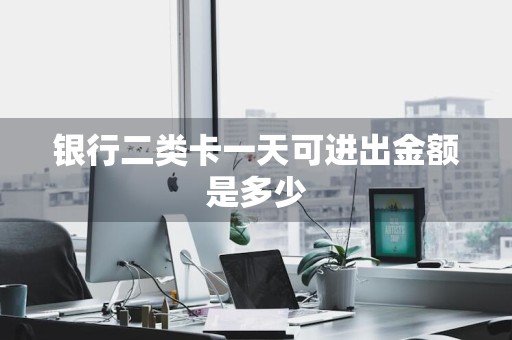 银行二类卡一天可进出金额是多少