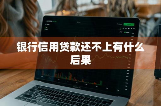 银行信用贷款还不上有什么后果