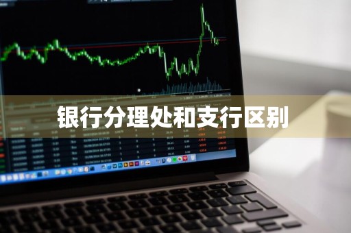 银行分理处和支行区别 