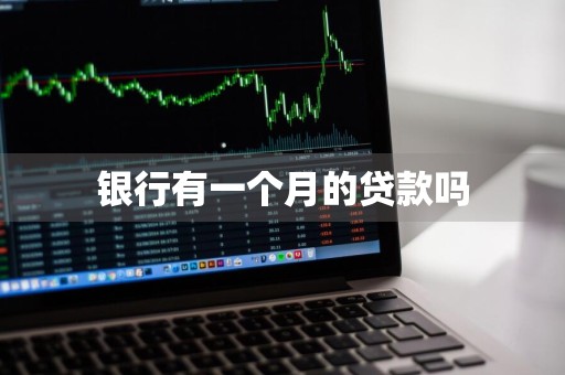 银行有一个月的贷款吗