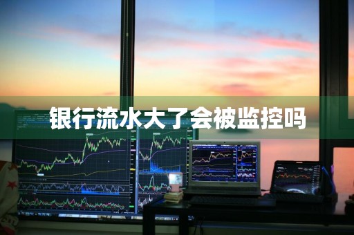 银行流水大了会被监控吗