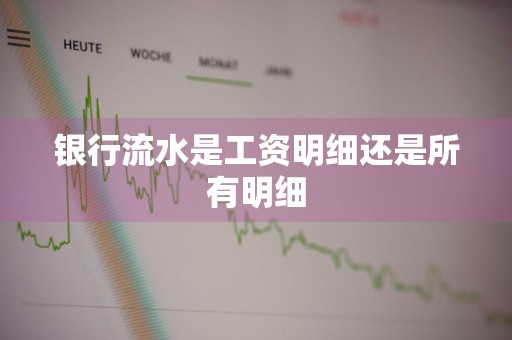银行流水是工资明细还是所有明细