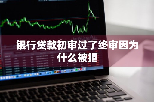 银行贷款初审过了终审因为什么被拒