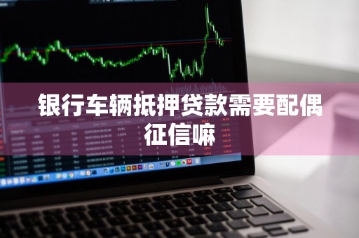 银行车辆抵押贷款需要配偶征信嘛
