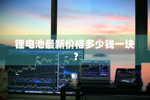 锂电池最新价格多少钱一块？