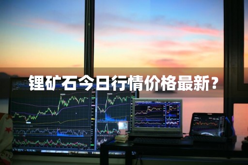 锂矿石今日行情价格最新？