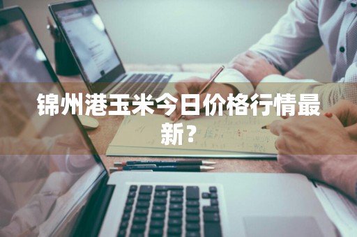 锦州港玉米今日价格行情最新？