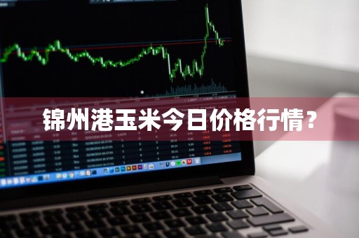 锦州港玉米今日价格行情？