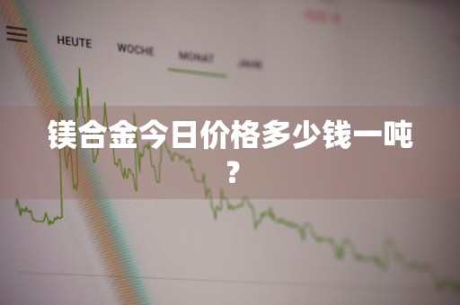 镁合金今日价格多少钱一吨？
