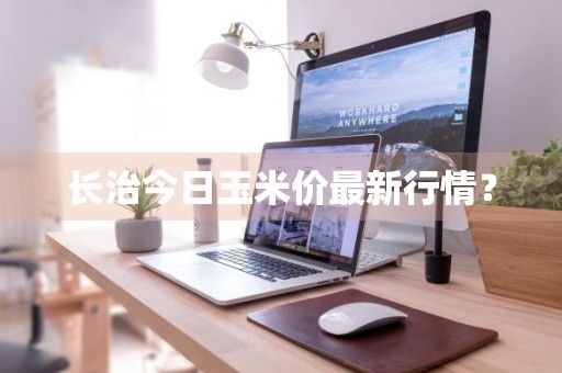 长治今日玉米价最新行情？