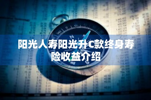 阳光人寿阳光升C款终身寿险收益介绍